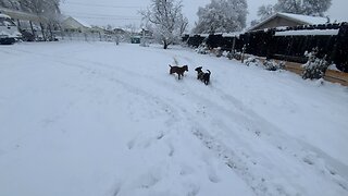 Happy couple in the snow.