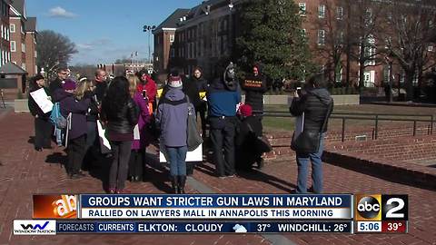 Groups rally on Lawyer’s Mall in Annapolis for stricter gun laws in Maryland