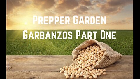 Prepper Garden: Grow Garbanzos Part One