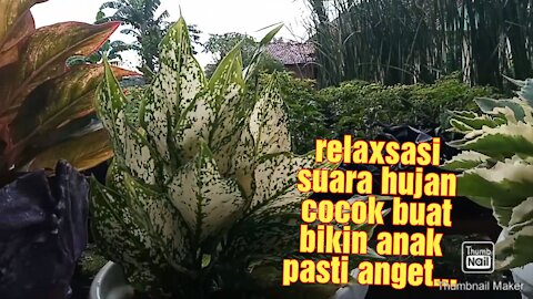 Relaxsasi hujan