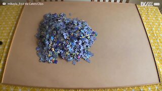 Timelapse mostra montagem de puzzle com 2000 peças