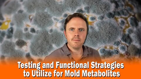 Testing and Functional Strategies to Utilize for Mold Metabolites