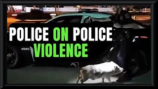 🍁🚔🎥 Uniform Cop Scuffles With Undercover Cop 😆🤣 How To Avoid An Arrest