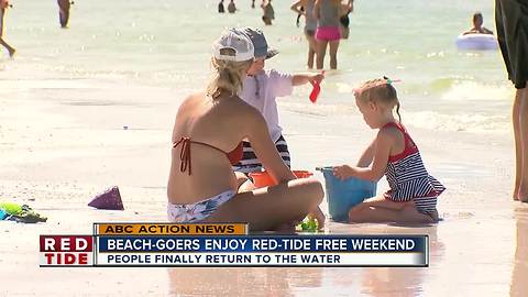 Red Tide Free Beach Day in Siesta Key