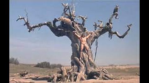 Tree of Woe: American Annihilation!