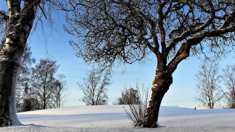 Nature and the beauty of nature ♥ Watch and enjoy the most beautiful landscapes