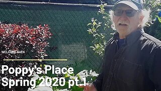 Poppy's place - Late spring 2020 - Part 1