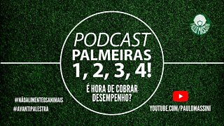 É HORA DE COBRAR DESEMPENHO? #PALMEIRAS #CAMPEONATOBRASILEIRO