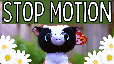 Butter The Cow's Day! - Stop Motion Skit! | Beanie Boo Safari