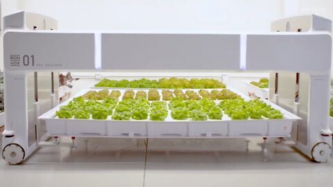 TECH : Future of Farming Vertical Farms Run by AI and Robots