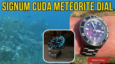 SCUBA Diving with a Signum Cuda Meteorite Dial at Virgin Gorda, British Virgin Islands