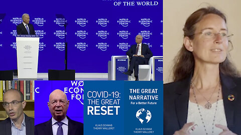 THE GREAT RESET | "I See It As a Tremendous Opportunity to Have This GREAT RESET And to Use These HUGE FLOWS of Money And Increased Levers to Create a Change That Is Not Incremental." - Nicole Schwab (Klaus Schwab's Daughter)