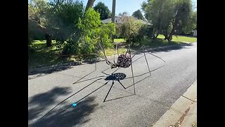 RIESIGE SPINNE LAUFEN! Hast du schon ANGST Früher gab es große Spinnen