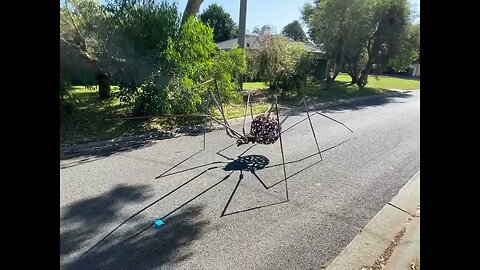 RIESIGE SPINNE LAUFEN! Hast du schon ANGST Früher gab es große Spinnen