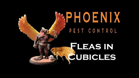 Fleas in a Cubical Hell #whatbugsme | Phoenix Pest Control TN