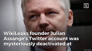 Assange Twitter Feed Mysteriously Goes Dark