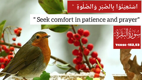 Surah Al Baqarah, Verse -152,53💕