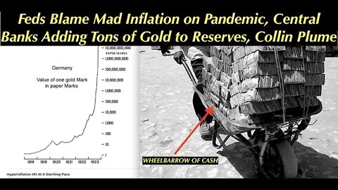 Central Banks Adding Tons of Gold to Reserves, Nations Want New Currency Backed By Gold Collin Plume