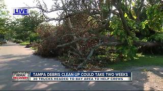 Debris cleanup taking a while in Tampa due to lack of trucks
