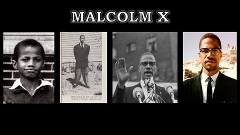 Malcolm X | Beware of The Fox