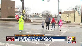 Pedestrian safety proposal