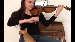 Kitten Fascinated By Owner's Music