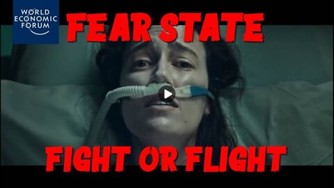 Fear State: Fight or Flight! [MIRROR]
