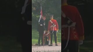 Kings guard collapses in Hyde Park #horseguardsparade