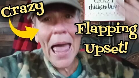 Crazy Flapping Upset! - Ann's Tiny Life and Homestead