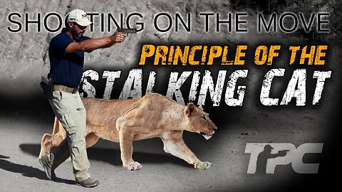 Mastering Shooting On The Move: The Stalking Cat Principle