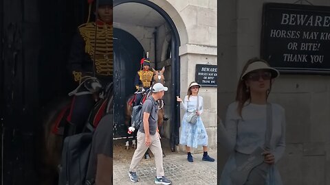 Horse puts down his foot with these two #horseguardsparade