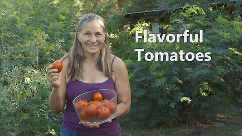 Homesteading Basics and Gardening Tips : How to Keep Your Organic Tomatoes Garden Fresh