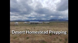 Building a Homestead on a budget