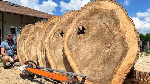 Fantastic texture of the cheapest wood