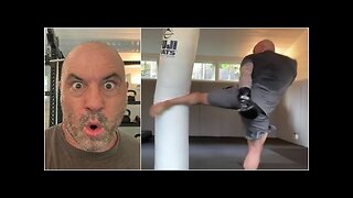 Joe Rogan DESTROYS heavy bag with INSANE kicks!