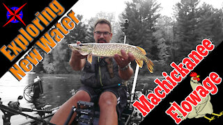 Machickanee Flowage Pike: Exploring New Water on the Native Slayer Max 12.5 kayak fishing