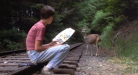 "Friday Night Special: The Deer Scene" 8/5/22