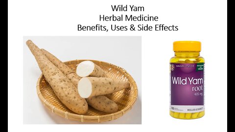 Wild Yam - Herbal Medicine - Benefits, Uses & Side Effects