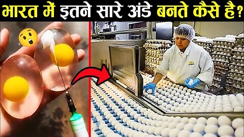 ✅भारत में इतने सारे अंडे कैसे बनते हैं ? |Amazing Advance | egg curry recipe