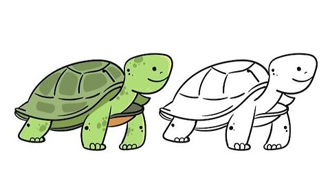 How Do Turtles Live So Long?
