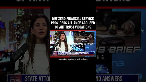 Net Zero Financial Service Providers Alliance Accused of Antitrust Violations