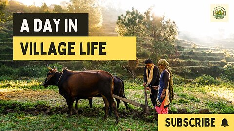 Discover the Authentic Charm of Village Life: Must-Watch Experience!