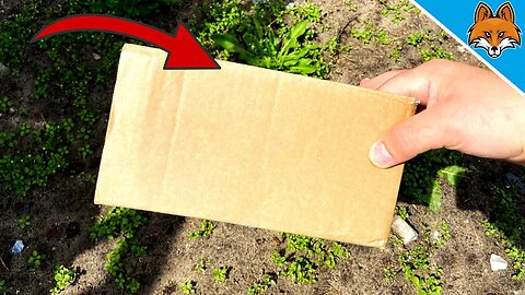 How to remove WEEDS with Cardboard 💥 (INSANE Trick) 🤯