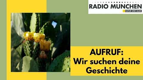 AUFRUF: Wir suchen deine Wandlungsgeschichte