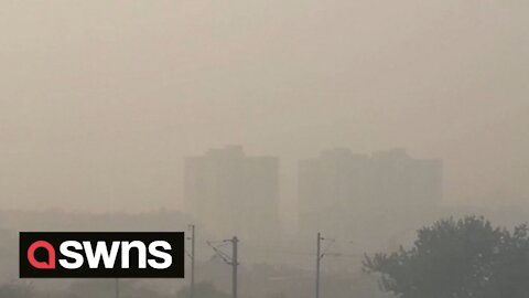 Thick fog plunges fields and tower blocks in India into darkness