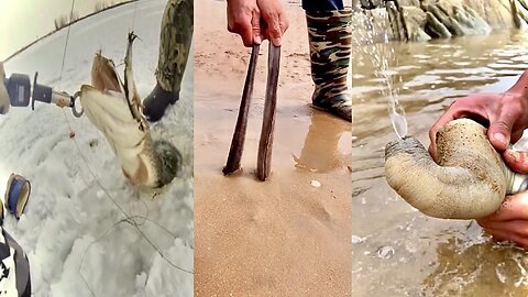 Activities of Chinese Fishermen Hunting Various Sea Animals around the Beach 🐙 Sea Creatures