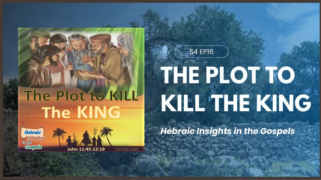 John 11451219 The Plot to Kill The King HIG S4