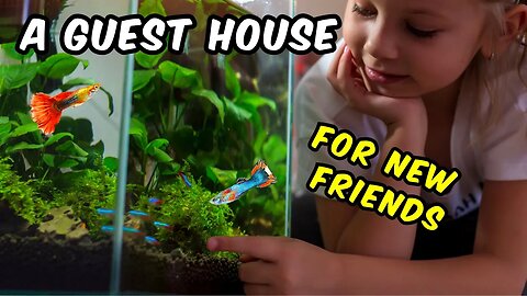 How to Welcome New Fish into Your Home 🐠 💙