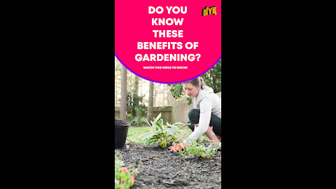 Top 3 Health Benefits Of Gardening *