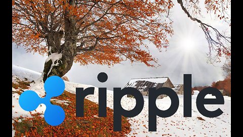 Judge Torres On The SEC, Ripple & XRP!